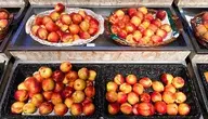 Hodowla nektarynek zakończyła się wyrokiem sądu