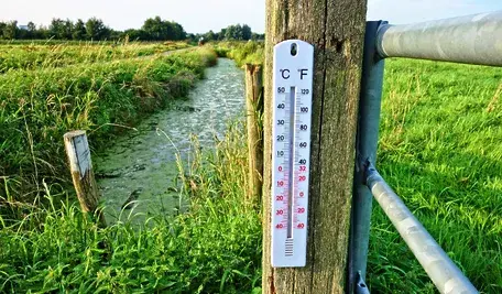 mabelamber-thermometer-2906817