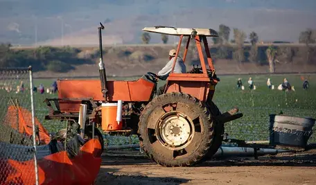 Rolnicy ledwo wiążą koniec z końcem, a rząd zwleka z pomocą 