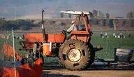 Rolnicy ledwo wiążą koniec z końcem, a rząd zwleka z pomocą 