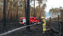„Strażak gaszący pożar w lesie Puszczy Solskiej, stojący przy przypalonych drzewach z wężem gaśniczym w ręku, obok czerwony wóz strażacki OSP. Widoczne ślady spalonego poszycia leśnego i przetrwałe drzewa iglaste.