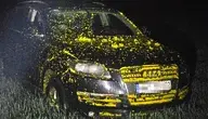 38-latka zgłosiła policji kradzież samochodu, by chronić partnera 
