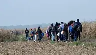 Migranci otrzymują niemieckie paszporty 