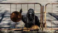 Zaporoska Elektrownia Jądrowa stała się areną sporu informacyjnego między Rosją a Ukrainą po doniesieniach o rzekomym ataku dronowym, które Kijów określa jako element nuklearnego szantażu.