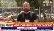 Rafał Jarząbek z wPolsce24 relacjonuje na żywo rewitalizację miejskich skwerów w Warszawie. W tle widoczne są drzewa z niemieckich szkółek, które są sadzone w stolicy