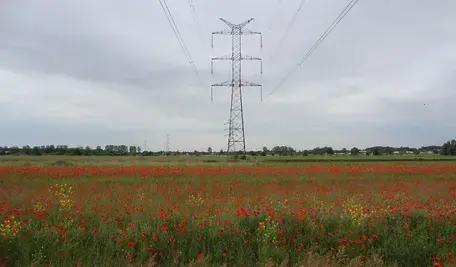 Elektrownia na tle krajobrazu – linia wysokiego napięcia biegnąca nad polem pełnym kwiatów, z widokiem na zielone pola i małe miejscowości w tle