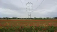 Elektrownia na tle krajobrazu – linia wysokiego napięcia biegnąca nad polem pełnym kwiatów, z widokiem na zielone pola i małe miejscowości w tle