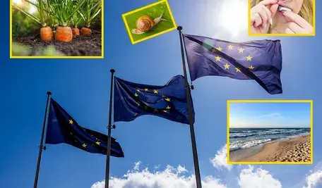 unijne flagi i absurdy, które serwuje nam Unia Europejska