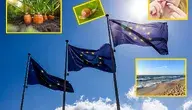 unijne flagi i absurdy, które serwuje nam Unia Europejska