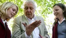  Sir David Attenborough kończy jutro 100 lat. Z tej okazji jego imieniem nazwano osę, którą złapano w Chile... ponad 40 lat temu 