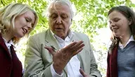  Sir David Attenborough kończy jutro 100 lat. Z tej okazji jego imieniem nazwano osę, którą złapano w Chile... ponad 40 lat temu 