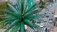DJI_20250917135123_0015_D-1334x1000
