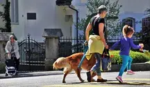 Kobieta spacerująca z dzieckiem i psem
