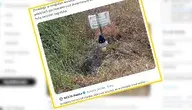 Mogiła Polaków opublikowana w mediach społecznościowych
