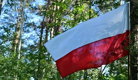 Flaga Polski powiewająca w polskim lesie 