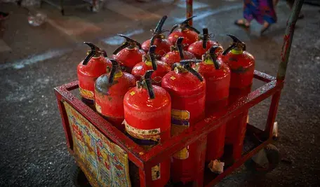 bullkim-vietnam-4606427
