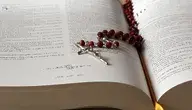 Kanadyjska Izba Gmin przegłosowała ustawę C-9 (Combatting Hate Act), która usuwa klauzulę ochronną dla wypowiedzi religijnych.