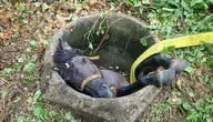 Zdjęcie z wypadku konia, który wpadł do studni