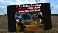 Grafika udostępniona przez europosła Piotra Mullera na portalu X 