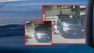 imigranci