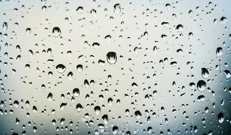 cc88db596b8a4c17b4c23b7eed60db50