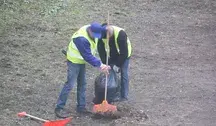 Polscy pracownicy są jednymi z najlepszych w całej Europie