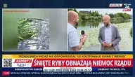 Martwe ryby w Odrze, a rząd milczy