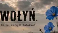 Zrzut ekranu (470)