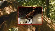 Szkielet tyranozaura o imieniu Gus został sprzedany na aukcji za rekordowe 50,1 mln dolarów
