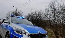Co wydarzyło się na leśnej drodze? Policja potwierdziła, że znaleziono ludzkie kości