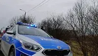Co wydarzyło się na leśnej drodze? Policja potwierdziła, że znaleziono ludzkie kości