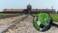 Muzeum Auschwitz-Birkenau