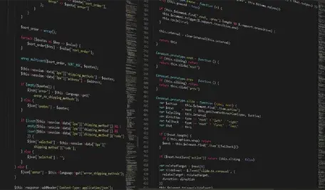 boskampi-programming-1873854