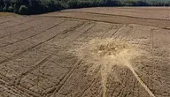 Zniszczone pole pani Moniki to główny problem. Innym jest to, że z powodu działań wojska jej rodzina nie może w ogóle zacząć zbiorów