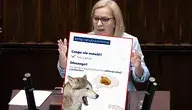 Paulina Hennig-Klosa, postanowiła zatroszczyć się o wilki. W osobliwy sposób 