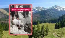 Dramat zwierząt na tatrzańskich szlakach. Przewodnik pokazuje nagrania