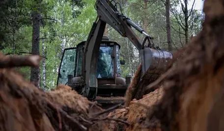 Koparka wykonująca głęboki wykop w lesie – Litwa planuje budowę rowów przeciwczołgowych na granicy z Rosją i Białorusią