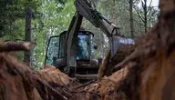 Koparka wykonująca głęboki wykop w lesie – Litwa planuje budowę rowów przeciwczołgowych na granicy z Rosją i Białorusią