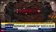 Szarańcza niszczy Polskę
