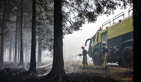 37 stopni i ogień. Belgia przeżywa katastrofę, jakiej nigdy nie było