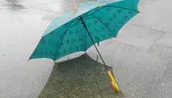 margaritamorales-rain-2480124_1920