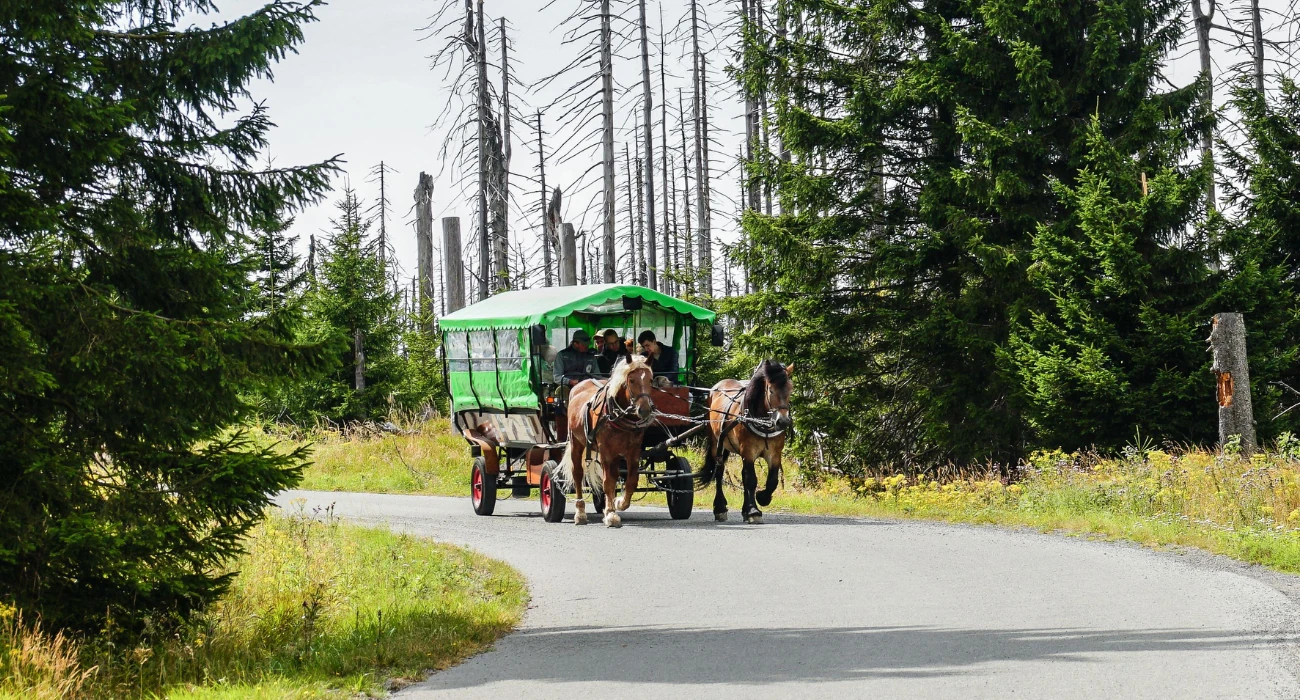 Koniec z wozami konnymi? Aktywiści chcą sami wozić turystów do Morskiego Oka