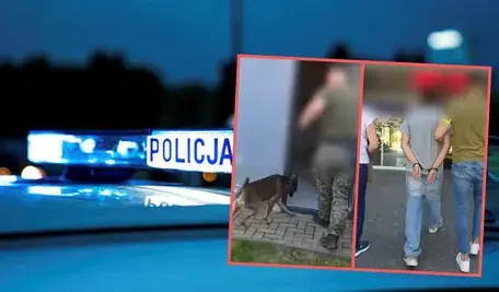 Policjanci podczas zatrzymania 23-latka, w tle radiowóz policyjny