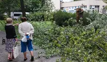 Połamane drzewa na osiedlu Piaski na warszawskich Bielanach