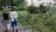 Połamane drzewa na osiedlu Piaski na warszawskich Bielanach