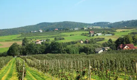 Podkarpacie to z pewnością jeden z tych regionów Polski, który warto odwiedzać o każdej porze roku 