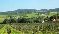 Podkarpacie to z pewnością jeden z tych regionów Polski, który warto odwiedzać o każdej porze roku 