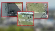 16-latek z Rzeszowa zderzył się na hulajnodze z szynobusem