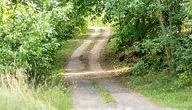 AS_DSC08513_20240826.webp.jSfko5WFMvXrR89jsAkA.hr8NjrCuJ7