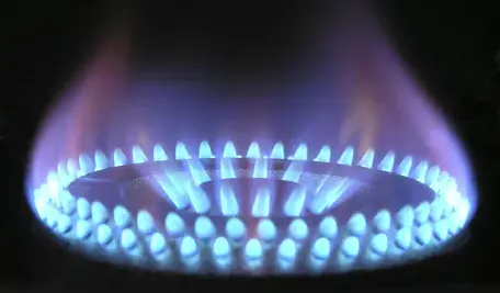 magnascan-flame-580342_1920